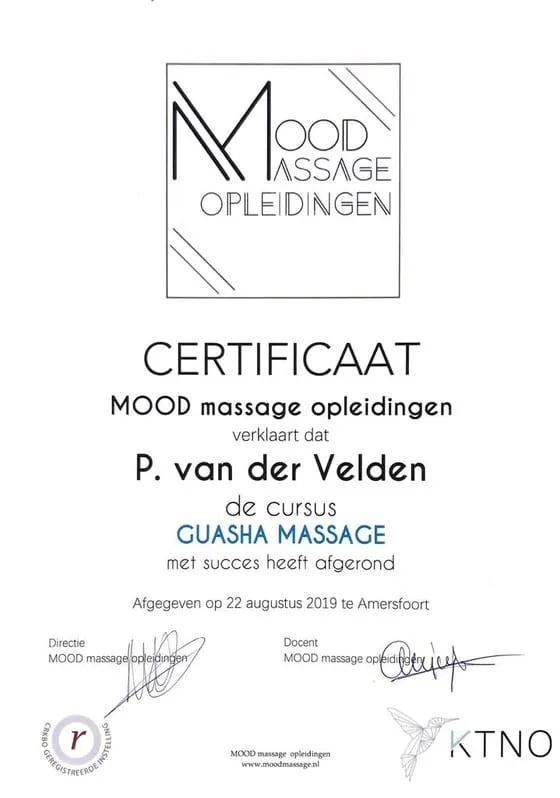 Certificaat Guasha, Mood massage opleidingen